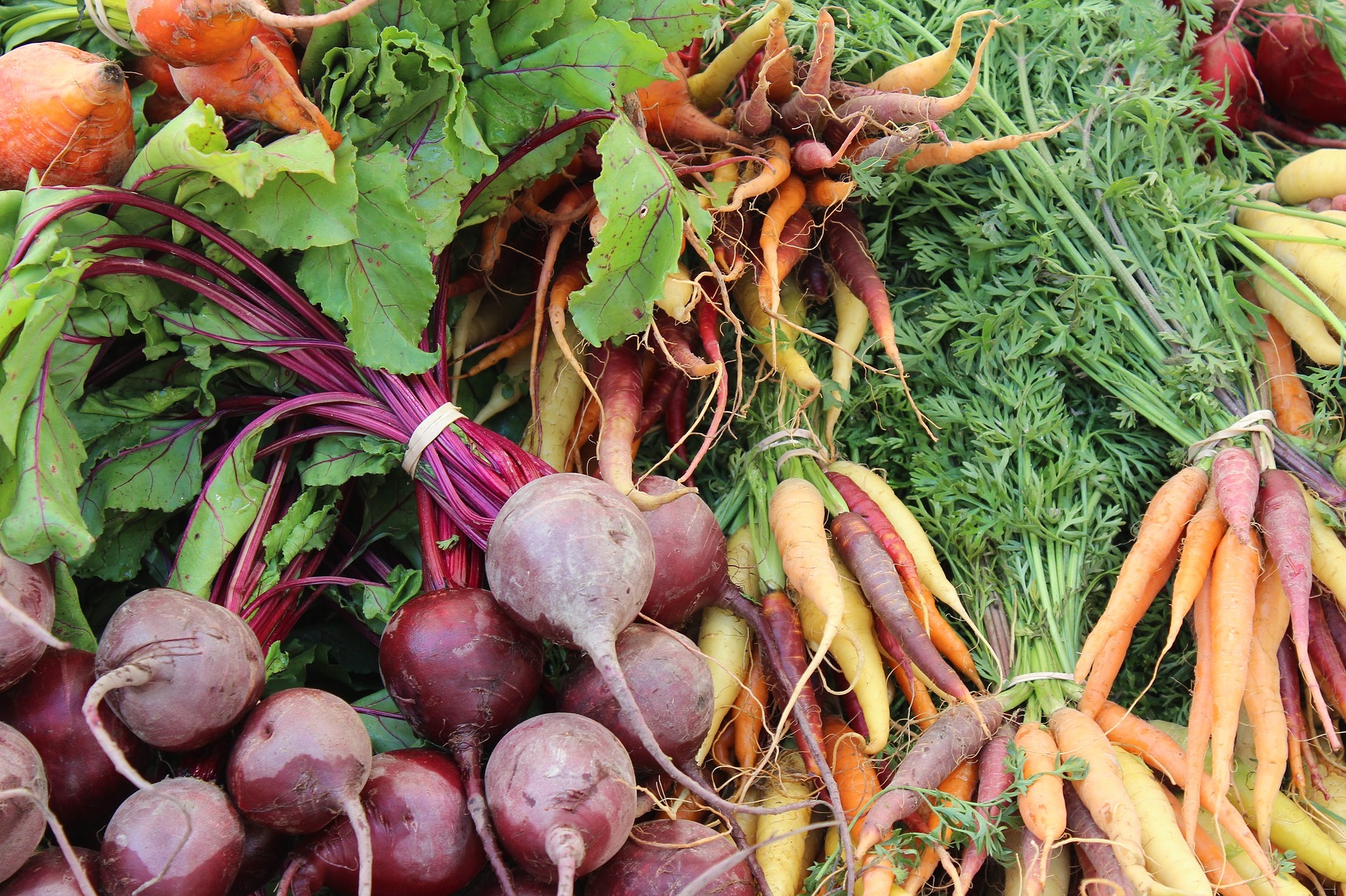 beets-1584454_1920.jpg