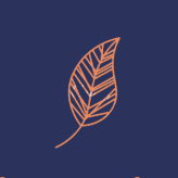 1-favicon.png